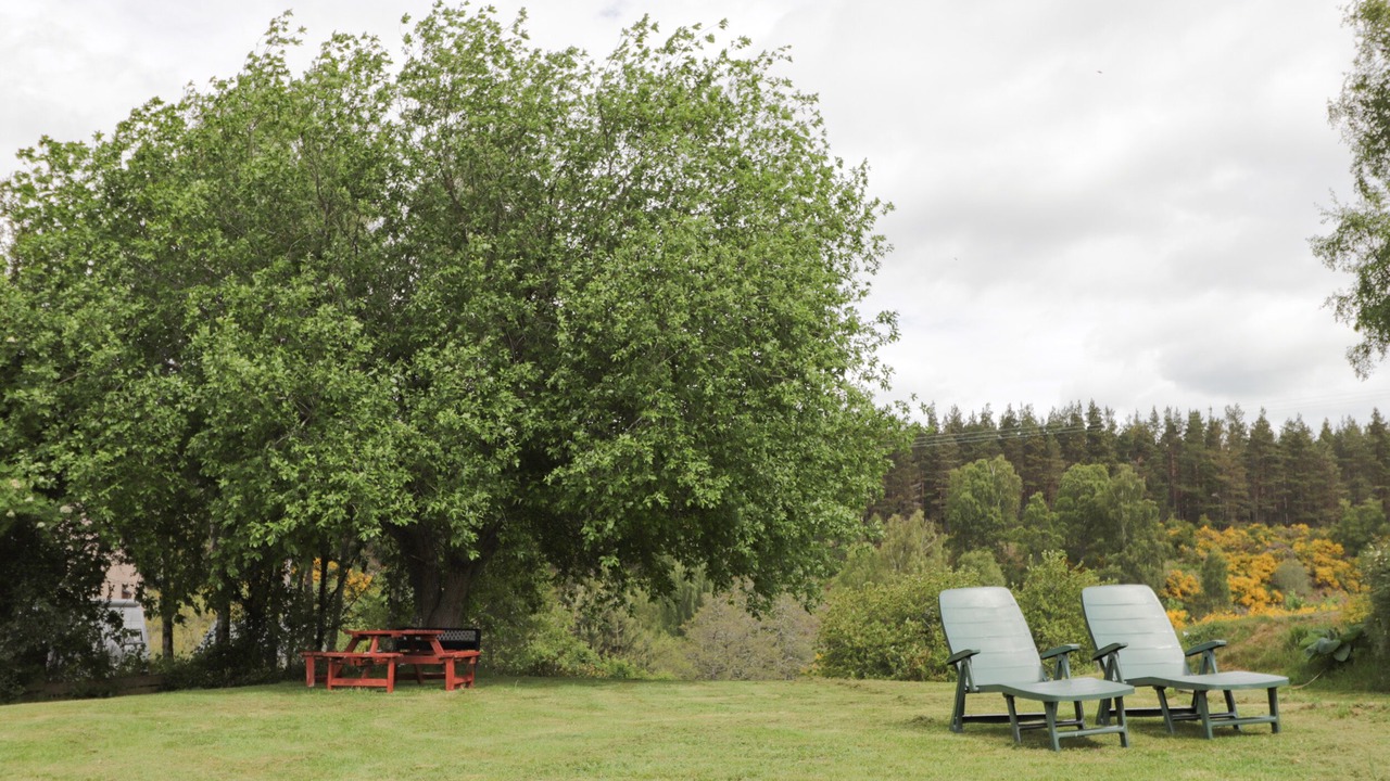 Photo of Outdoor in Nethy Bridge