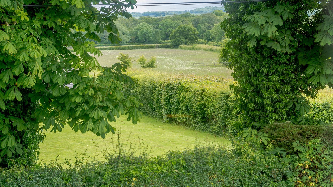 Photo of Outdoor in Wetherby