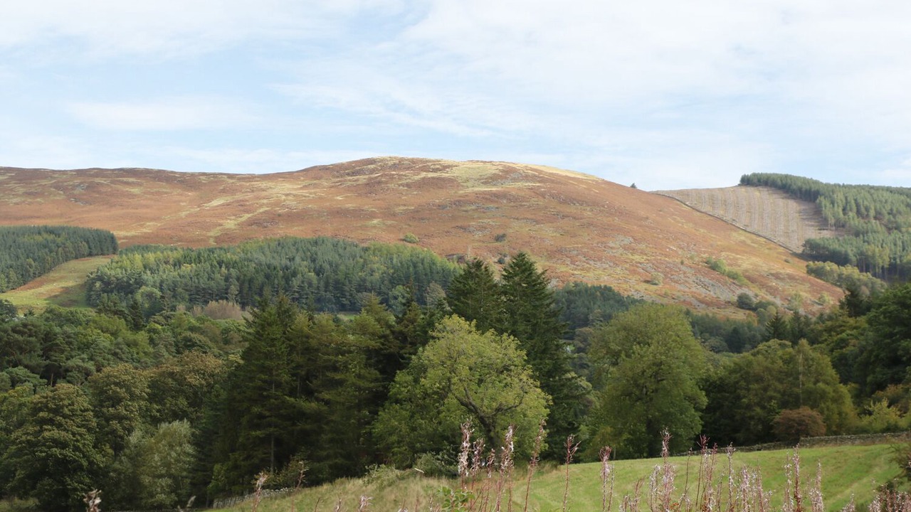 Photo of Outdoor in Walkerburn