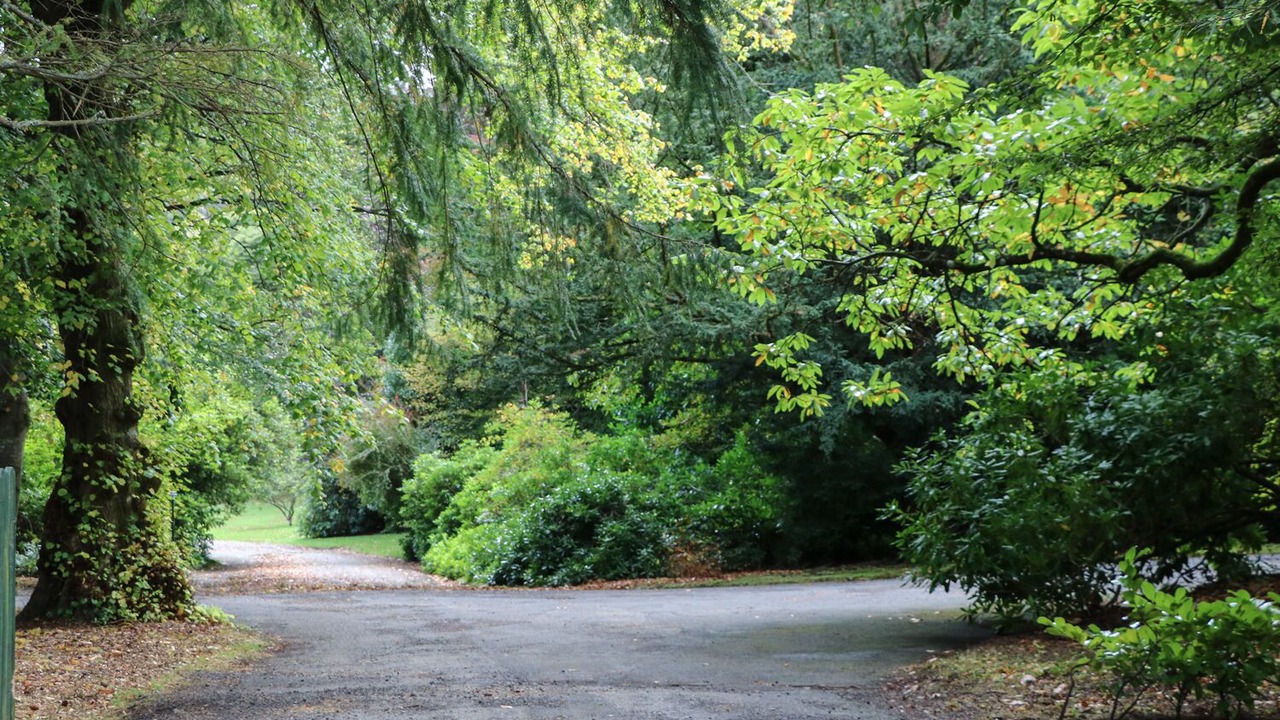 Photo of Outdoor in Walkerburn