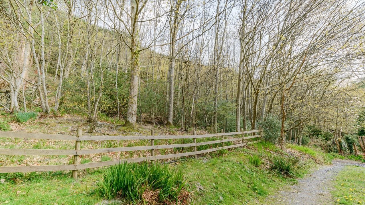 Photo of Outdoor in Corris