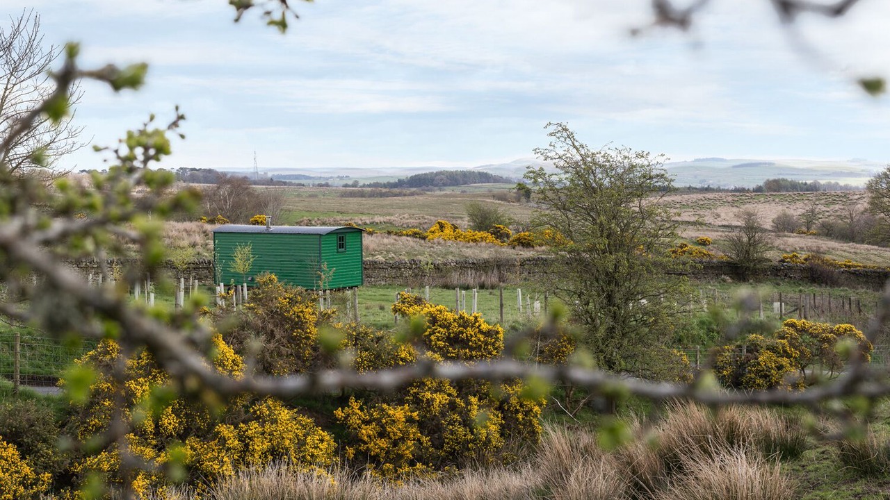 Photo of Outdoor in Haltwhistle