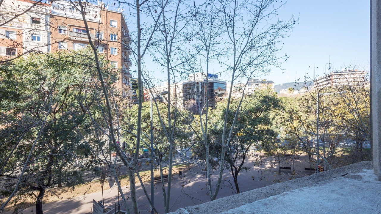 Photo of Outdoor in La Nova Esquerra de l'Eixample