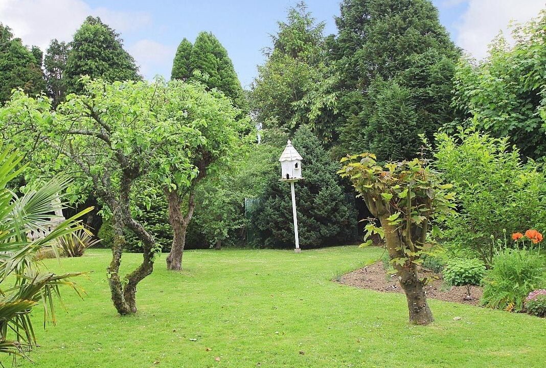 Photo of Outdoor in Liskeard