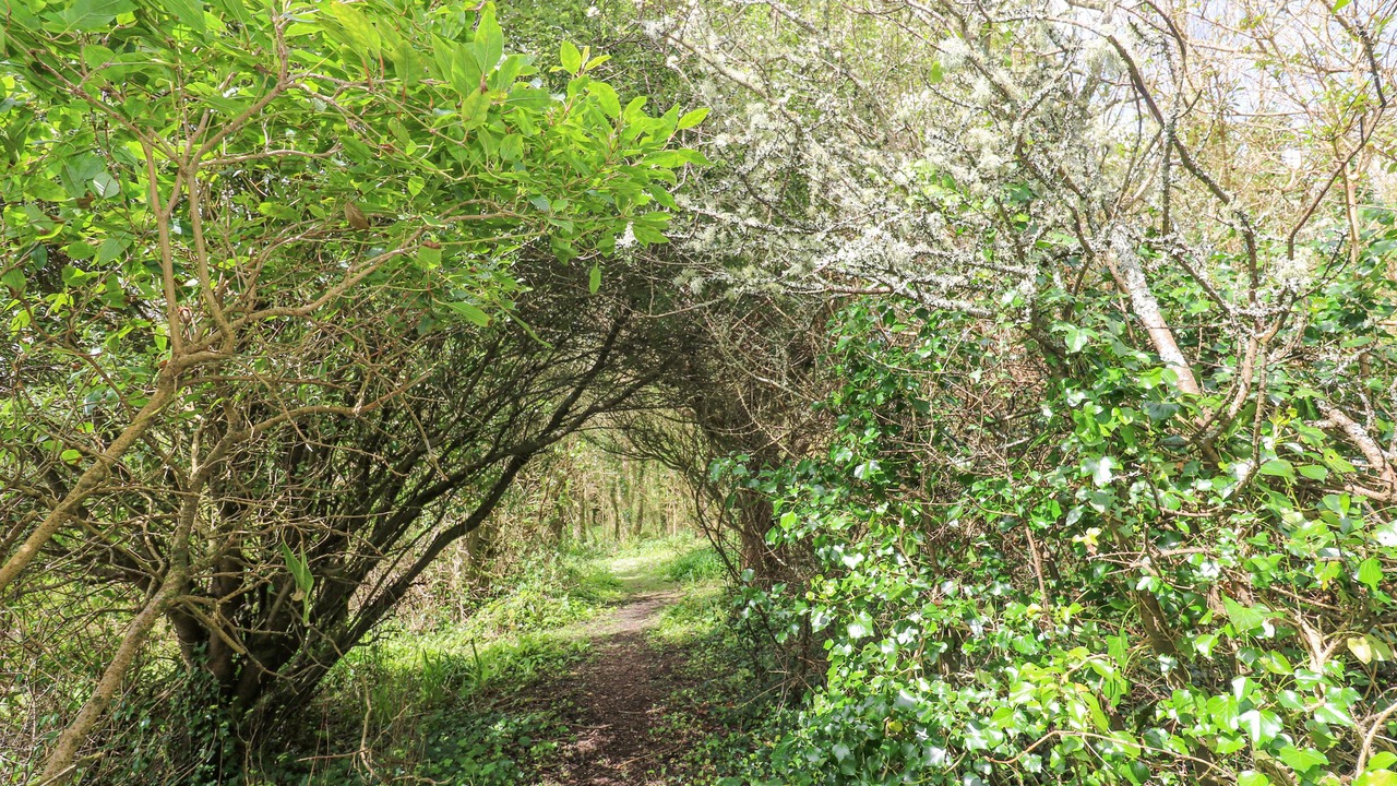 Photo of Outdoor in Coverack