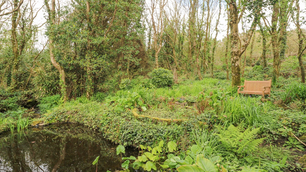 Photo of Outdoor in Coverack