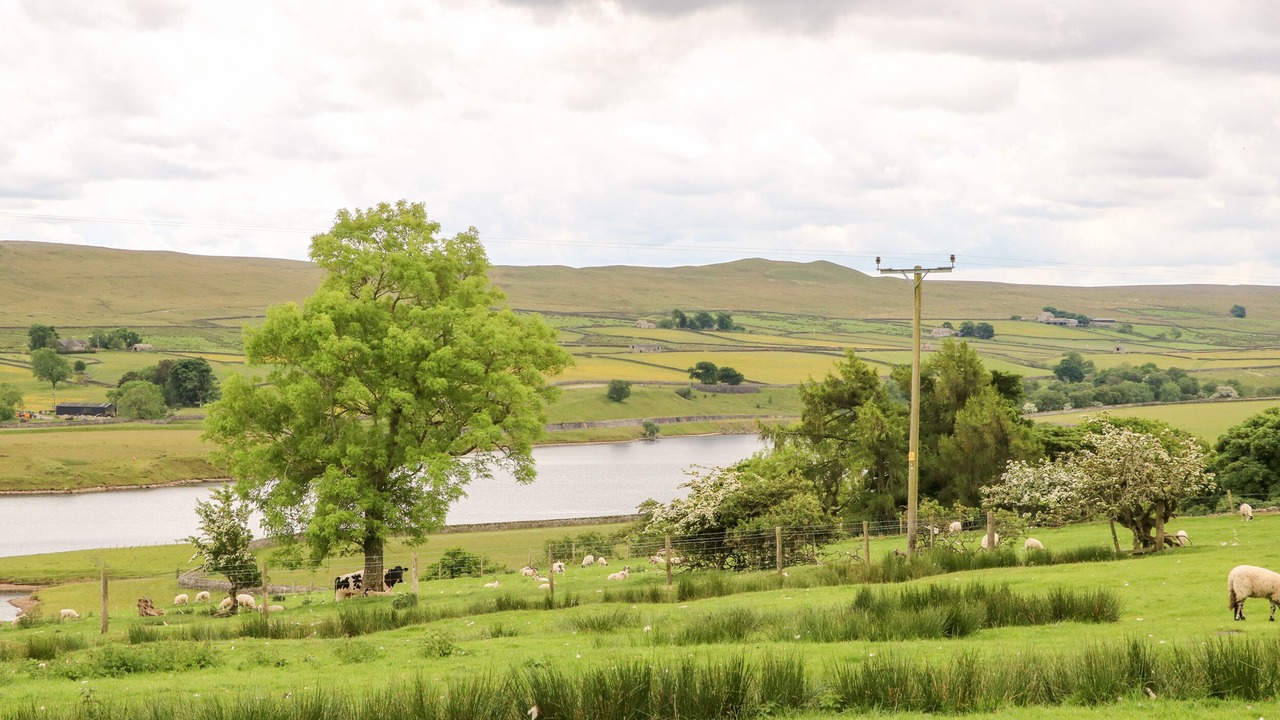 Photo of Outdoor in Barnard Castle