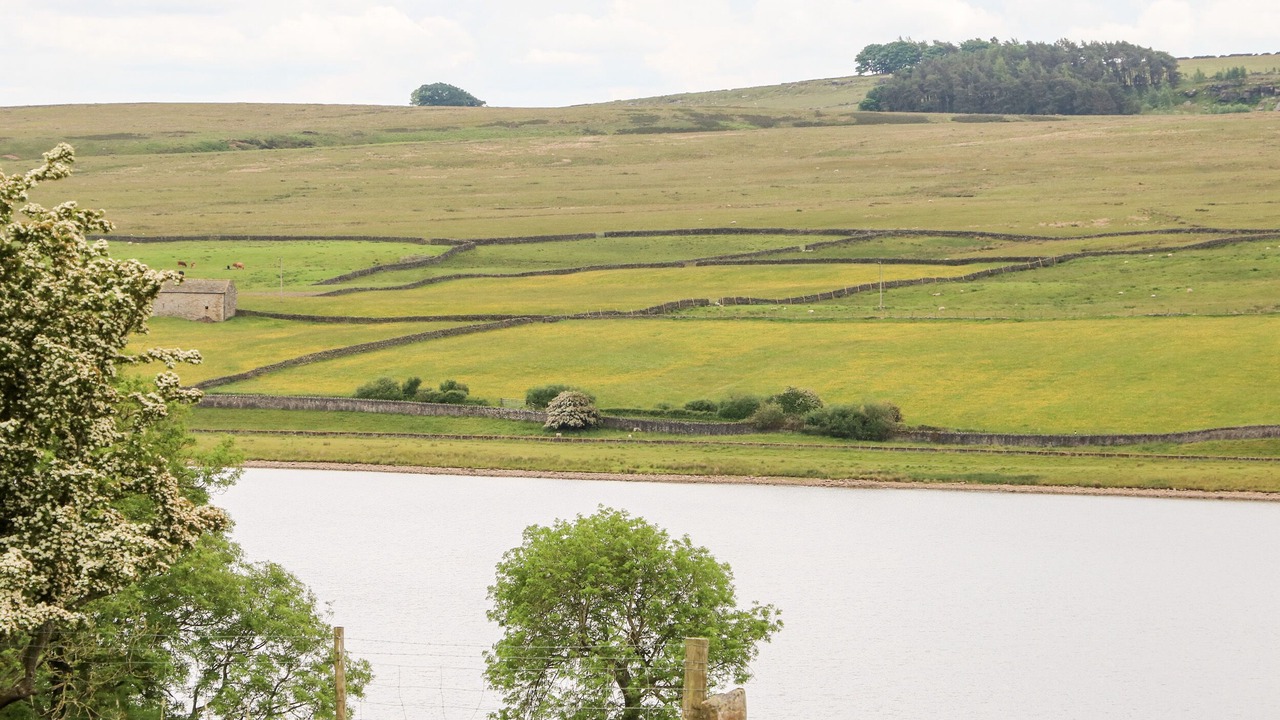 Photo of Others in Barnard Castle