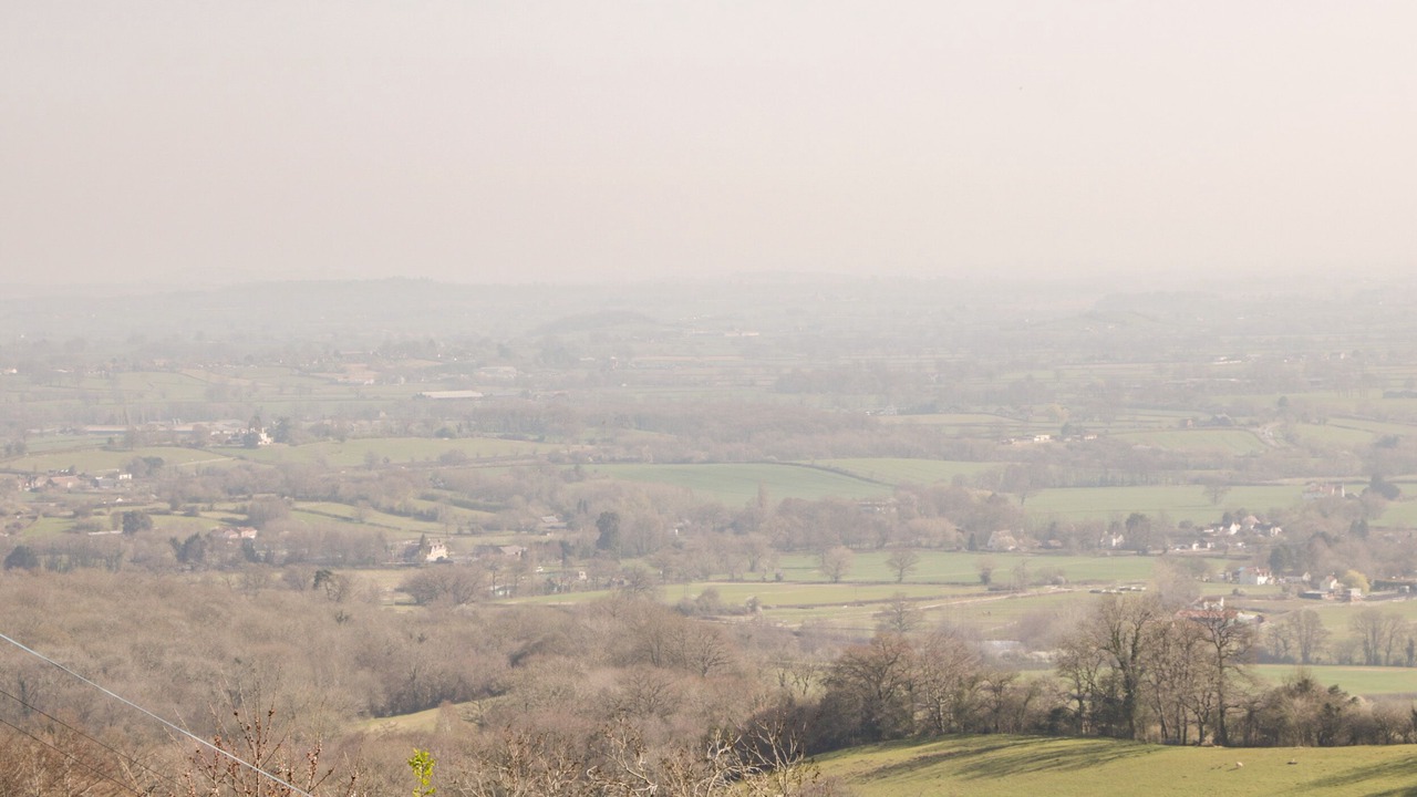 Photo of Others in Littledean