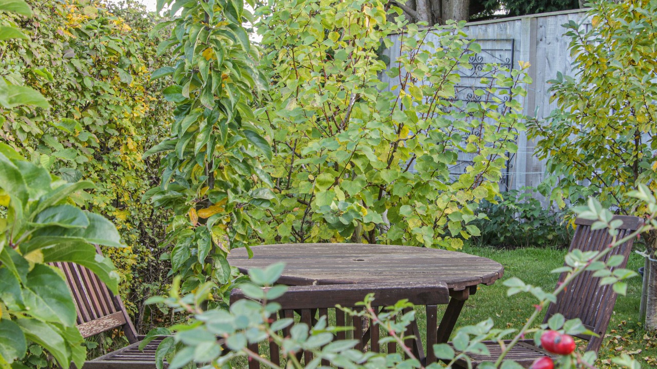 Photo of Outdoor in Longford