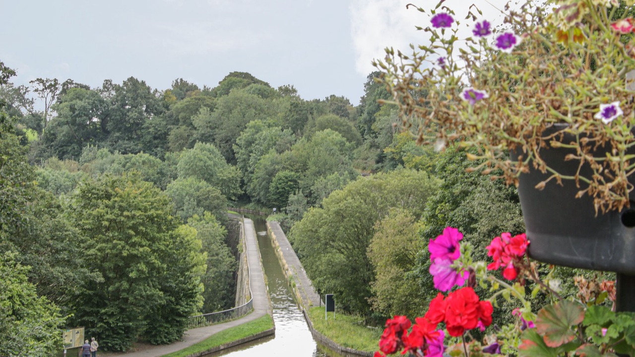 Photo of Outdoor in Longford