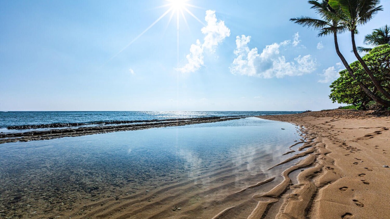 Photo of Others in Wailua