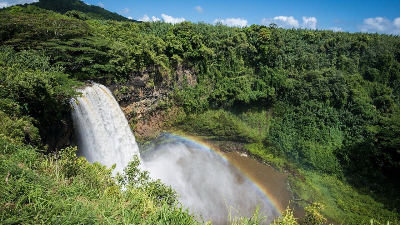 Photo of Others in Wailua
