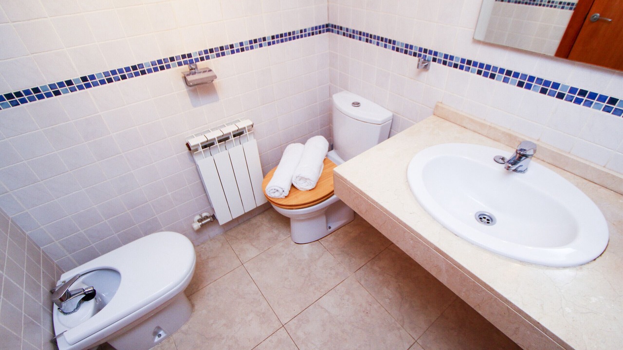 Photo of Bathroom in La Pineda