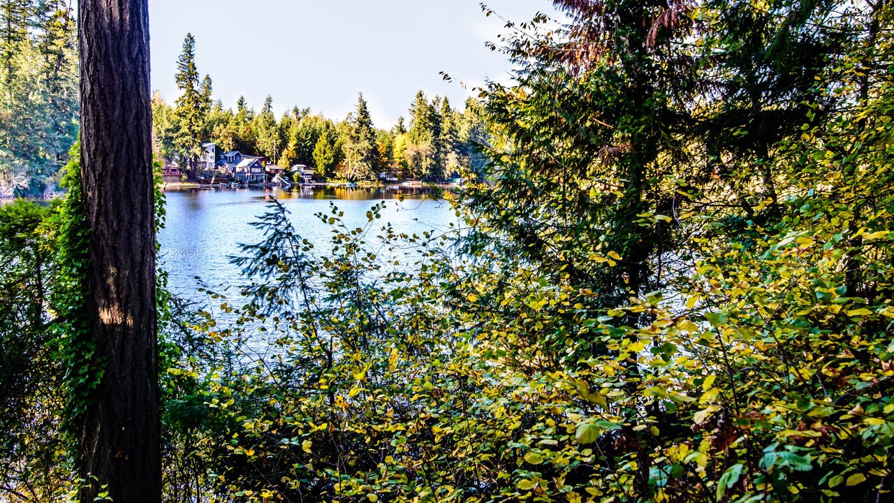 Photo of Outdoor in Lacey