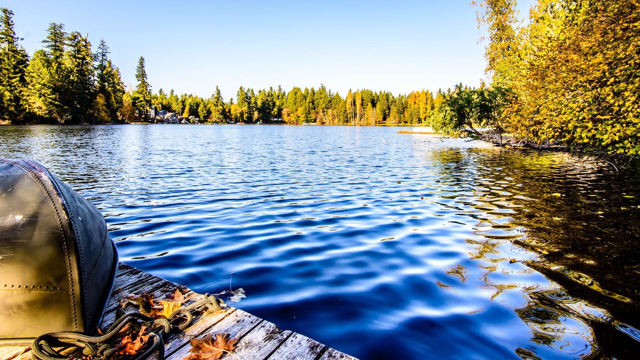 Photo of Outdoor in Lacey