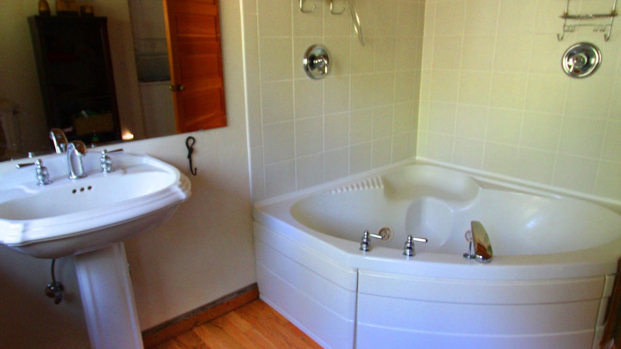 Photo of Others in Lacey