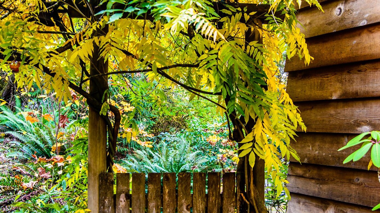 Photo of Outdoor in Lacey