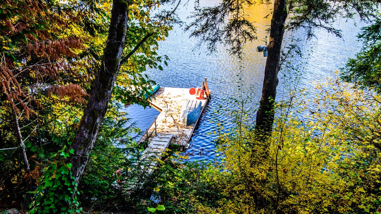 Photo of Outdoor in Lacey