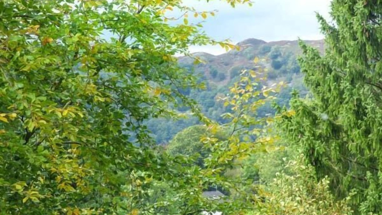 Photo of Others in Ambleside