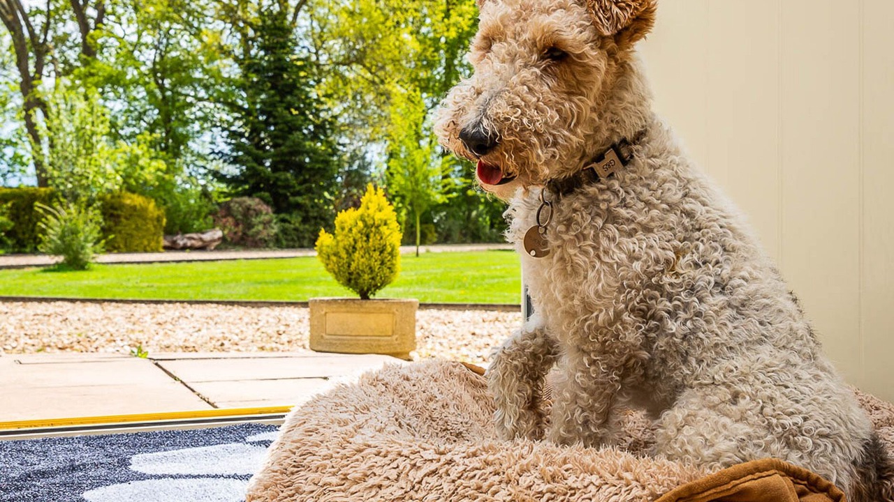 Photo of Outdoor in Lincoln