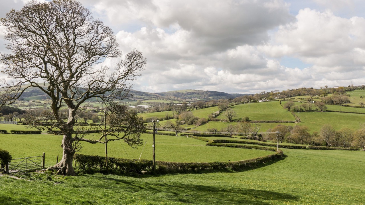 Photo of Others in Rhyd-y-foel