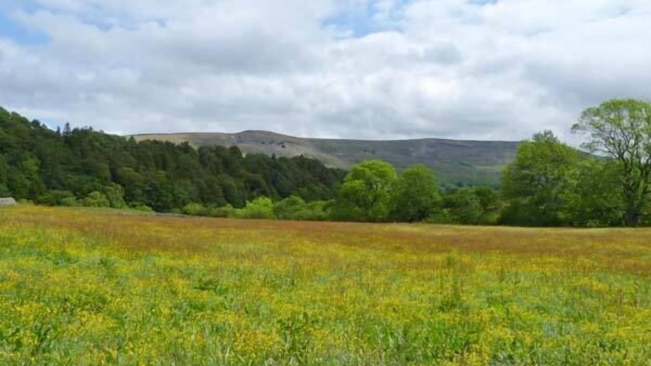 Photo of Others in Middleham