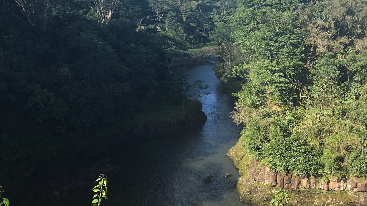 Photo of Others in Opihihale