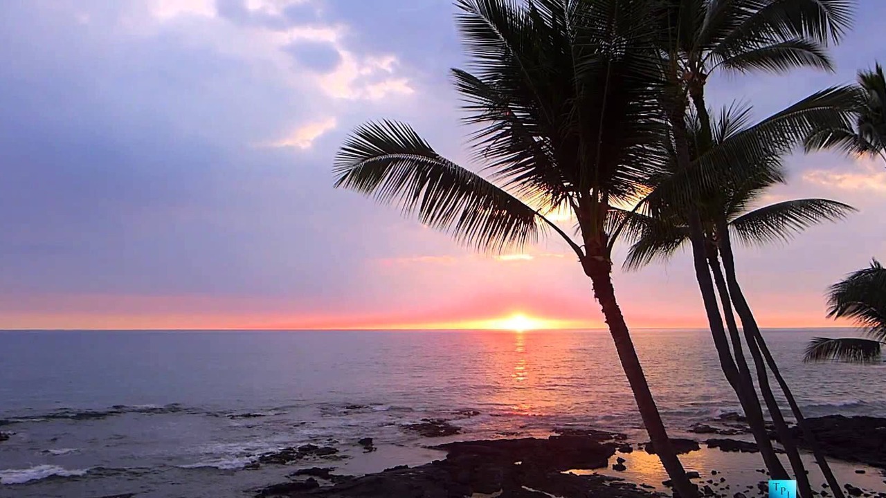 Photo of Others in Opihihale