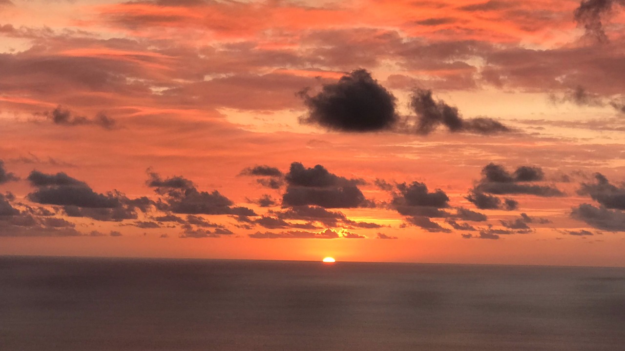 Photo of Others in Opihihale