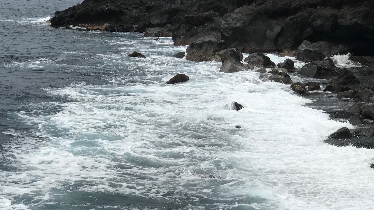 Photo of Others in Opihihale