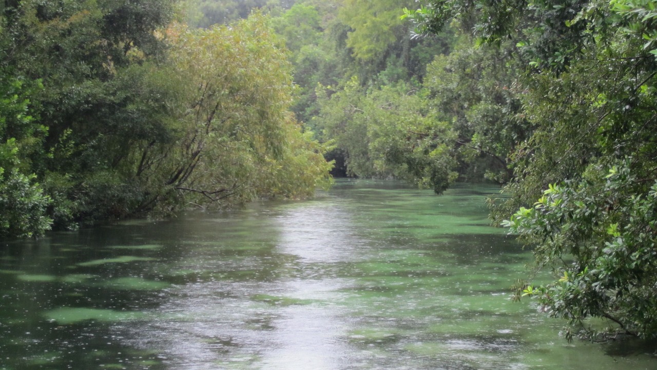 Photo of Outdoor in Weeki Wachee Gardens