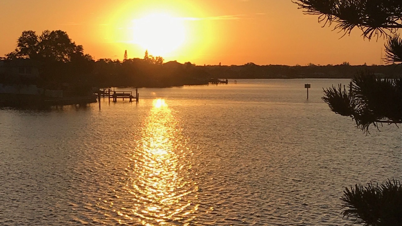 Photo of Others in Indian Rocks Beach