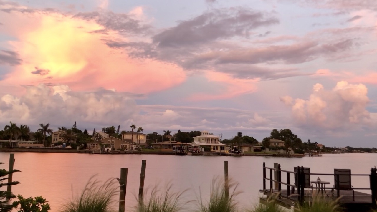 Photo of Others in Indian Rocks Beach