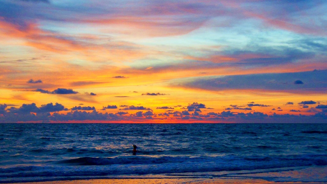 Photo of Others in Indian Rocks Beach