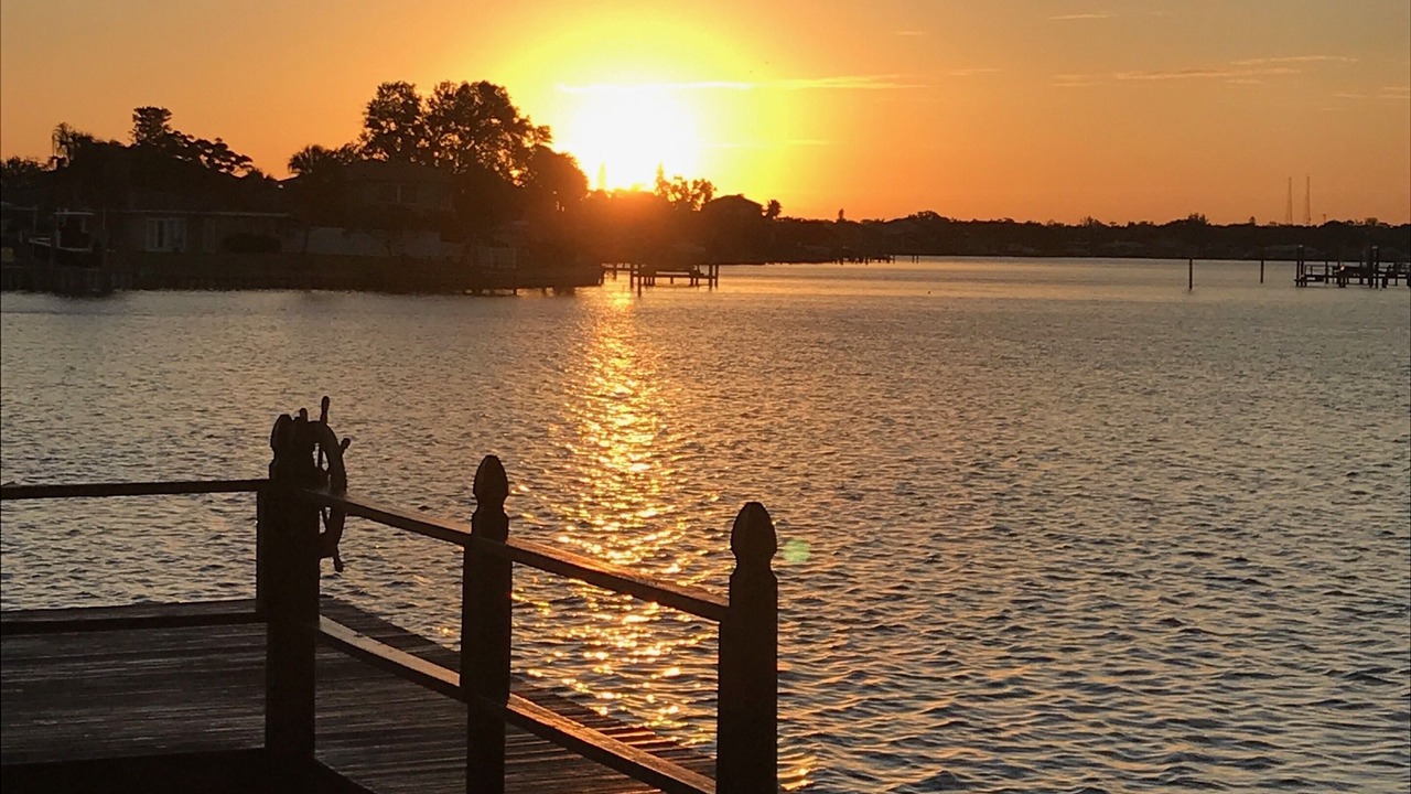 Photo of Others in Indian Rocks Beach