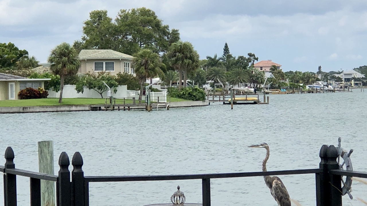 Photo of Outdoor in Indian Rocks Beach