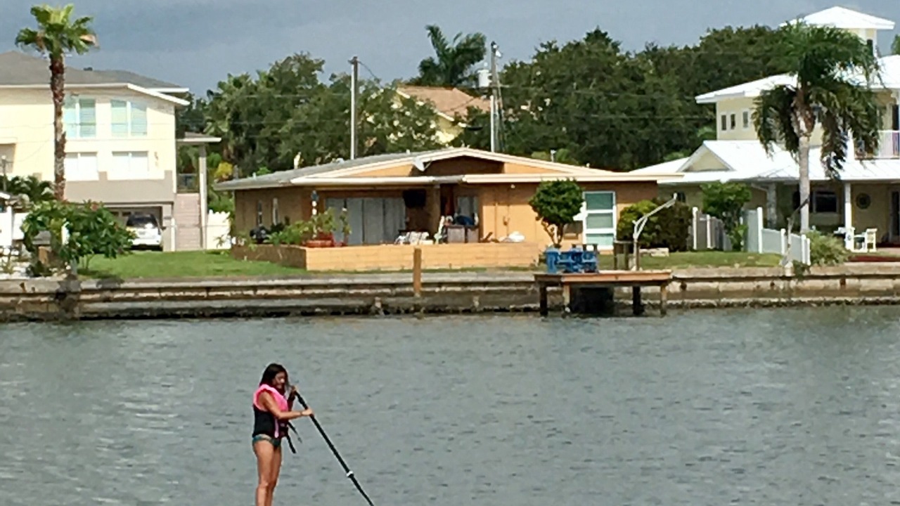 Photo of Others in Indian Rocks Beach