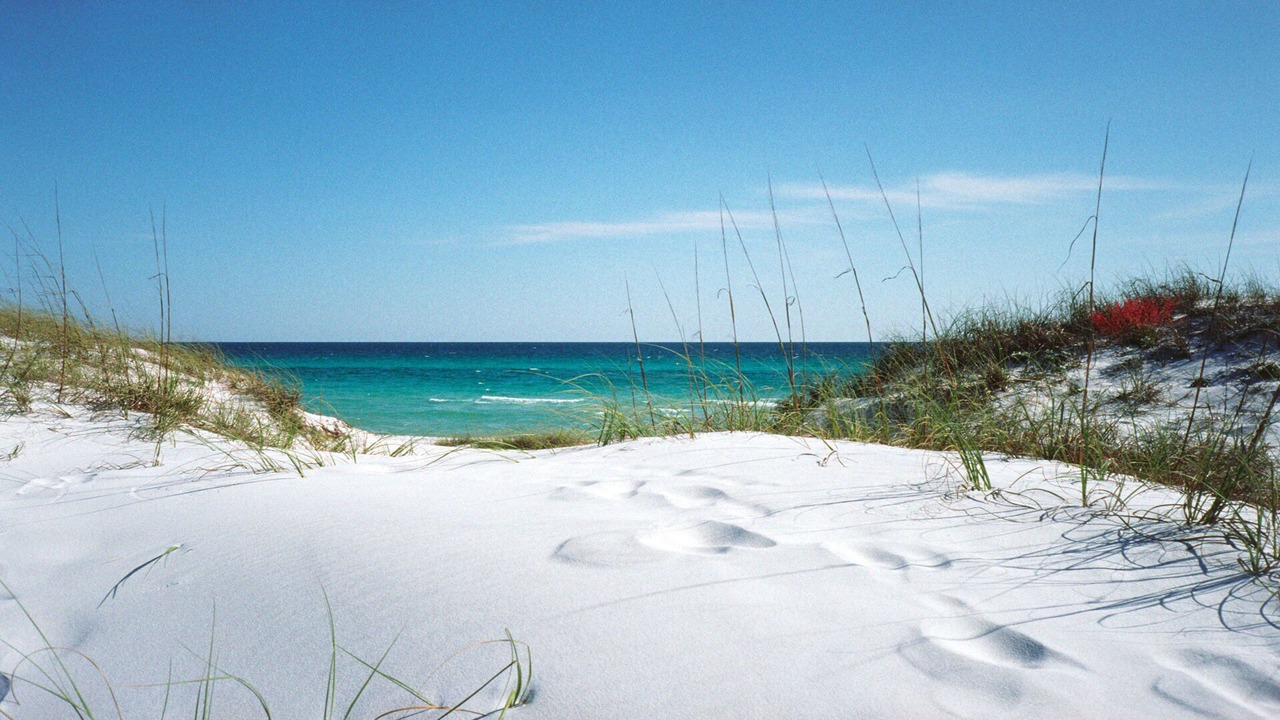 Photo of Others in Indian Rocks Beach