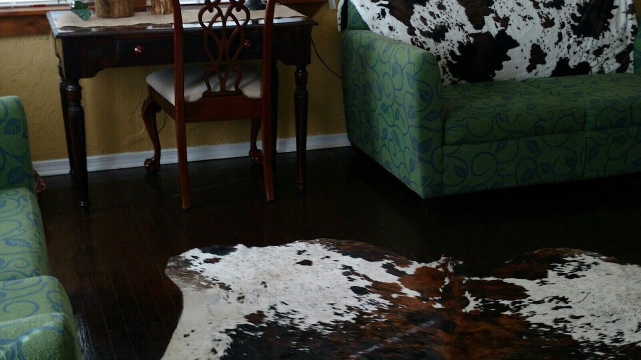 Photo of Livingroom in Lawton