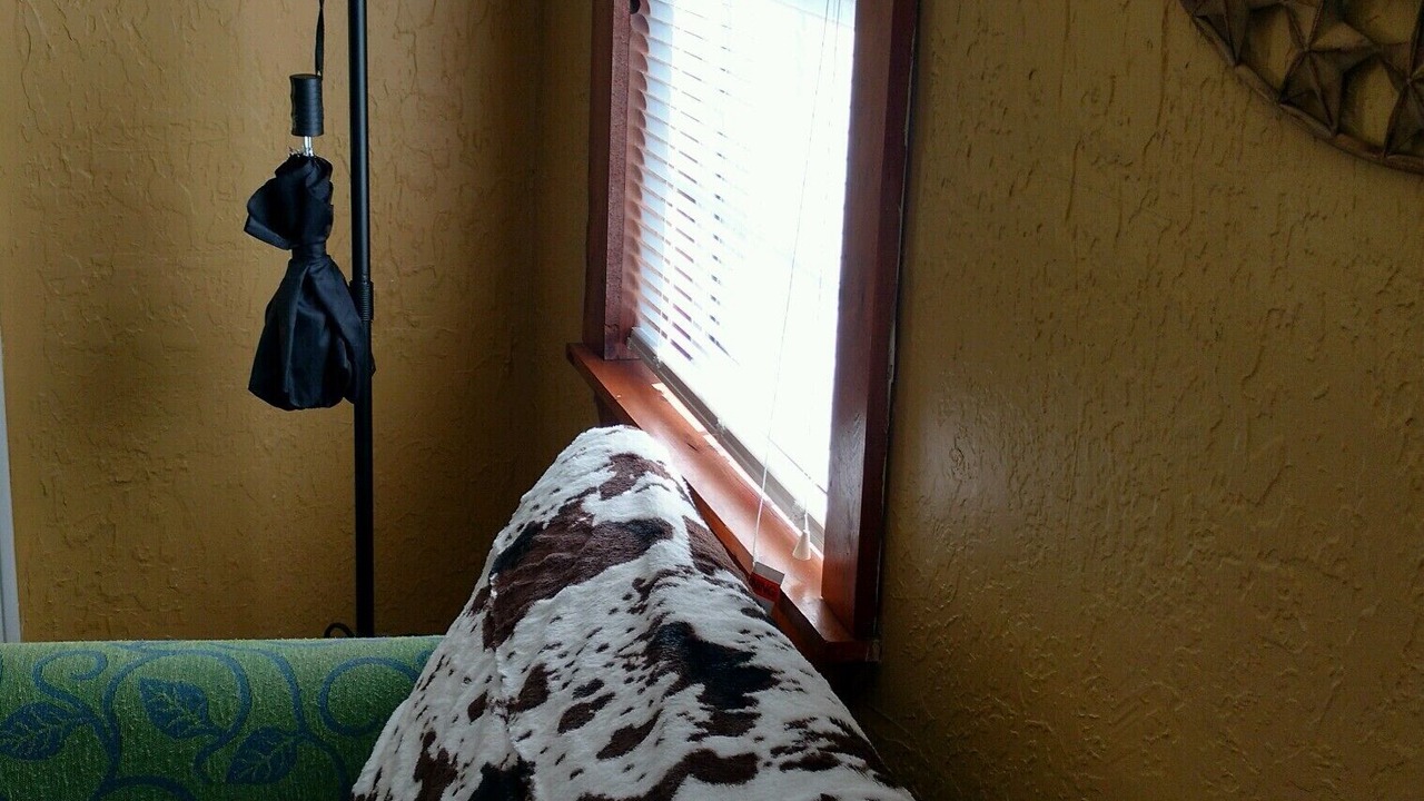 Photo of Bedroom in Lawton