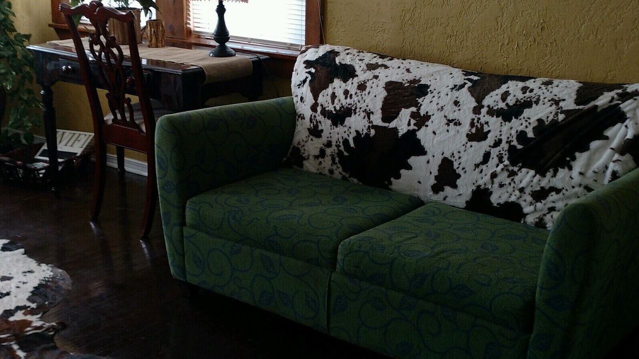 Photo of Livingroom in Lawton