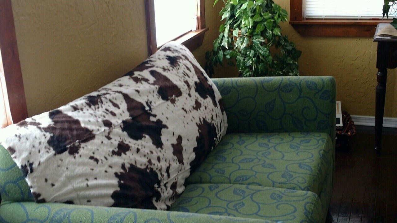 Photo of Livingroom in Lawton