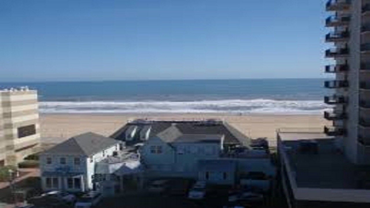 Photo of Others in Northeast Virginia Beach