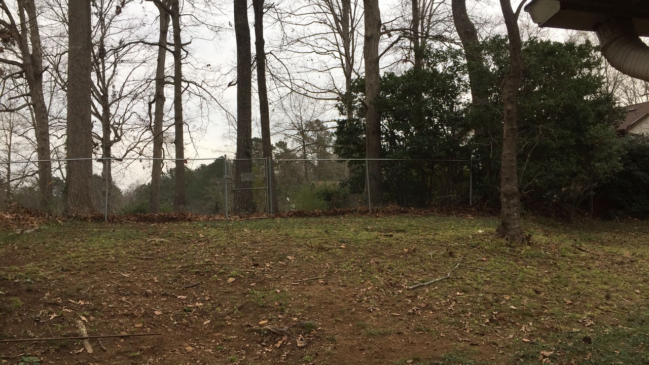Photo of Others in Stone Mountain