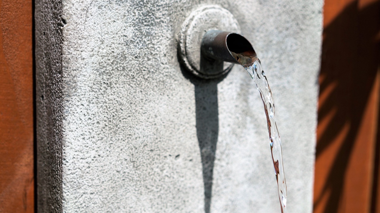 Photo of Others in Fort Lauderdale