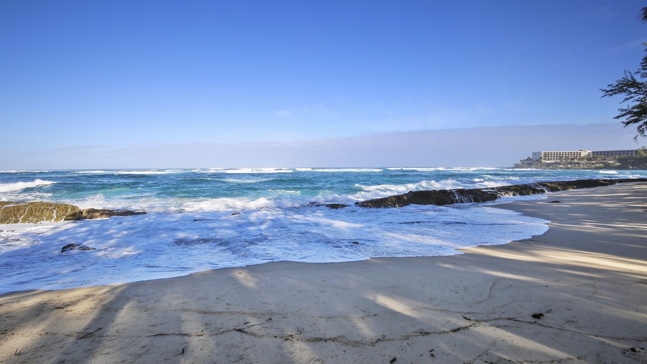 Photo of Others in Kahuku