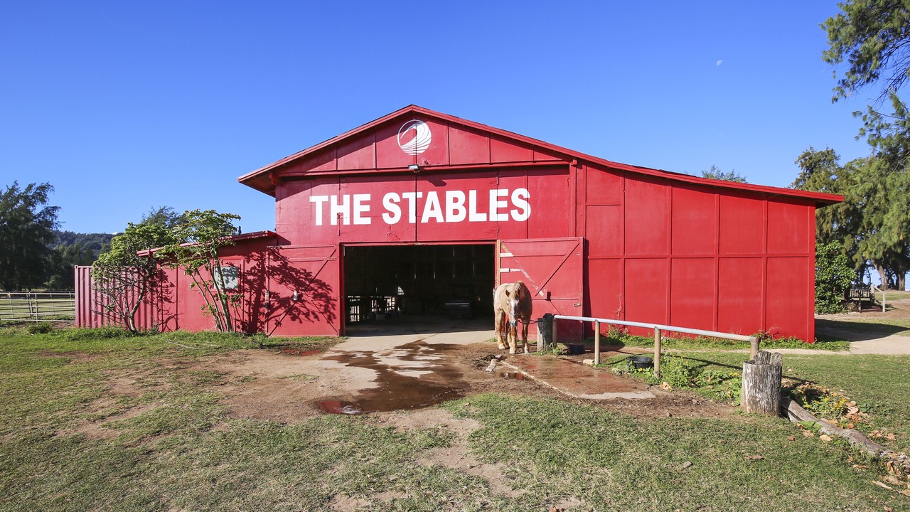 Photo of Others in Kahuku