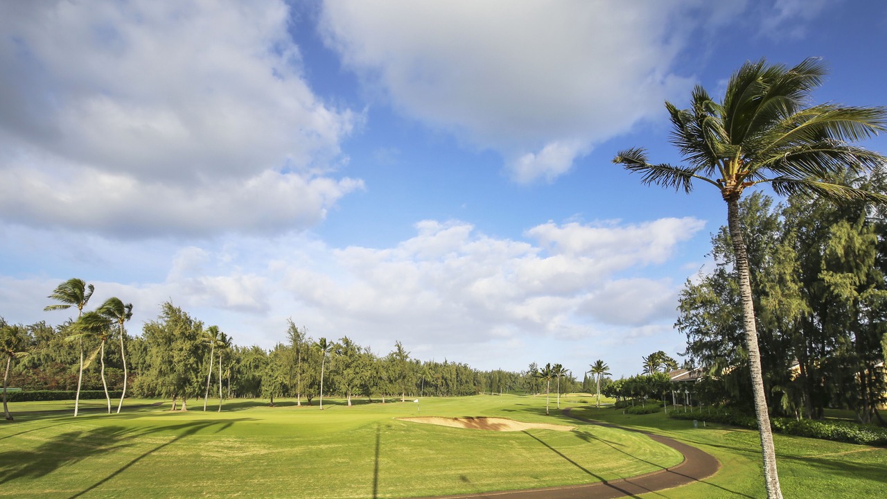 Photo of Others in Kahuku