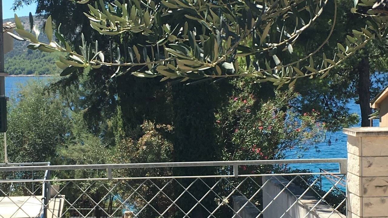 Photo of Outdoor in Seget Vranjica